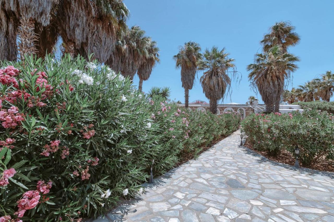 Palm Heaven Boutique Apartments Antiparos Exterior photo